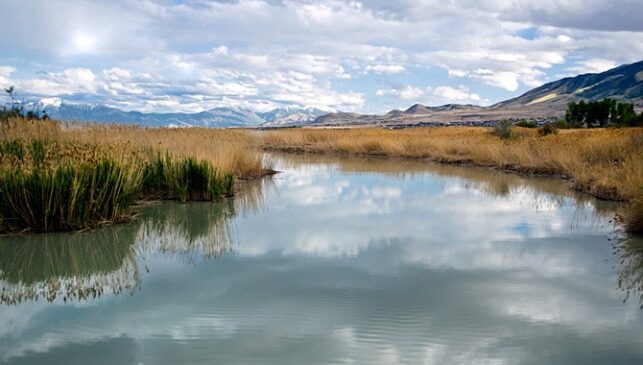 Utah Lake photo contest: And the winner is…